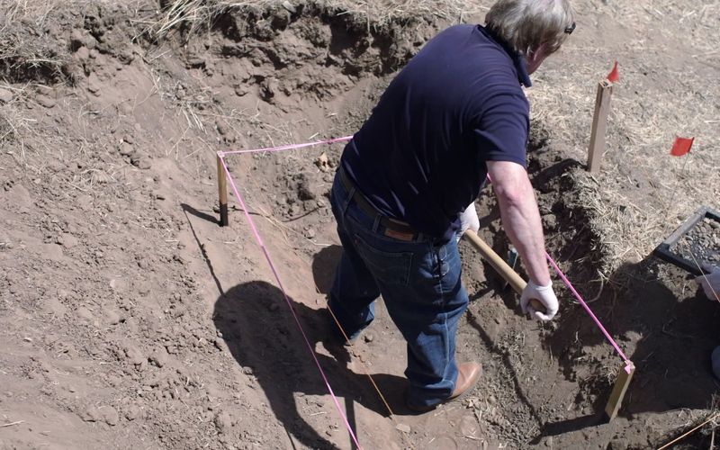 Buried in the Backyard