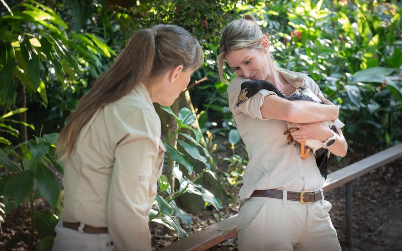 Die Irwins - Crocodile Hunter Family