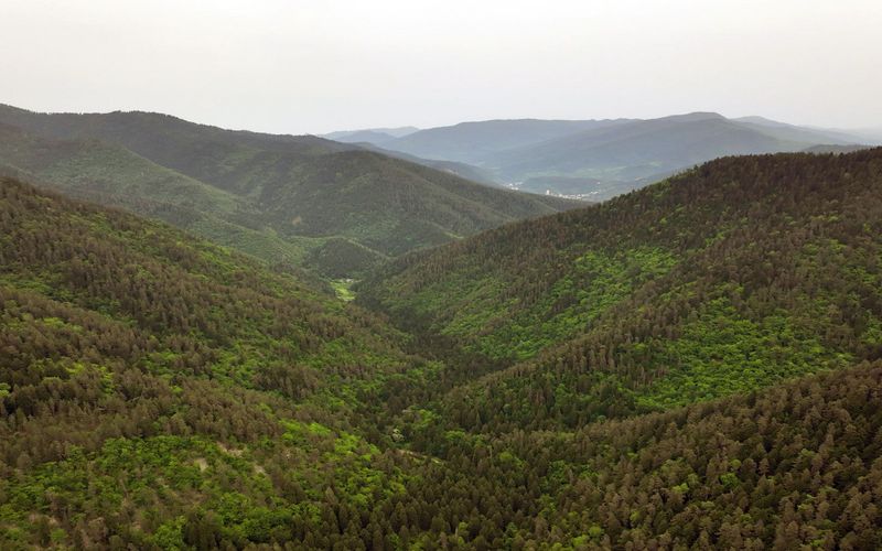 Georgiens wilde Schönheit - Von der Schwarzmeer-Küste in die Berge