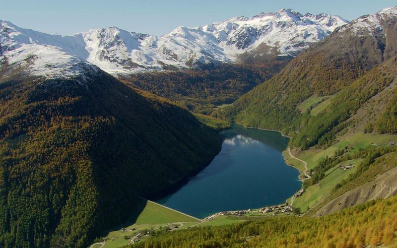 Tierwelt der Alpen