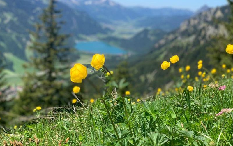 Das Tannheimer Tal - Juwel der Berge