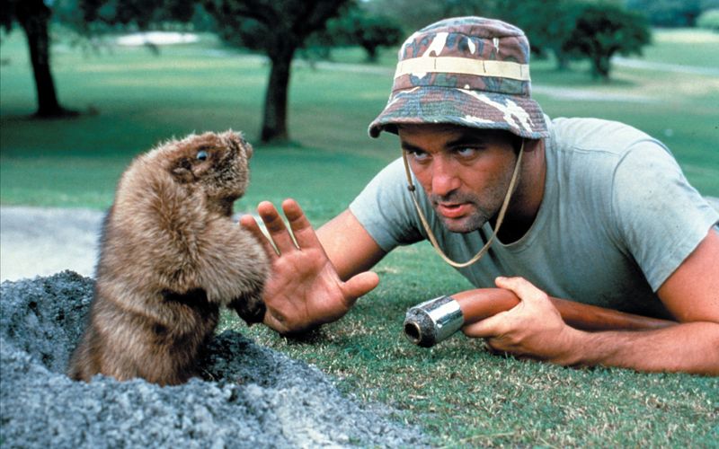 Caddyshack - Wahnsinn ohne Handicap