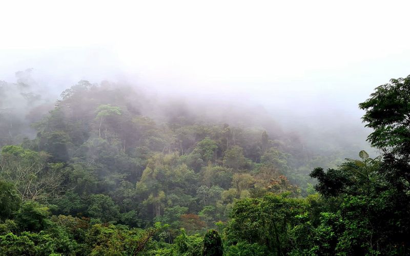 Honduras - Von Regenwald und Strand