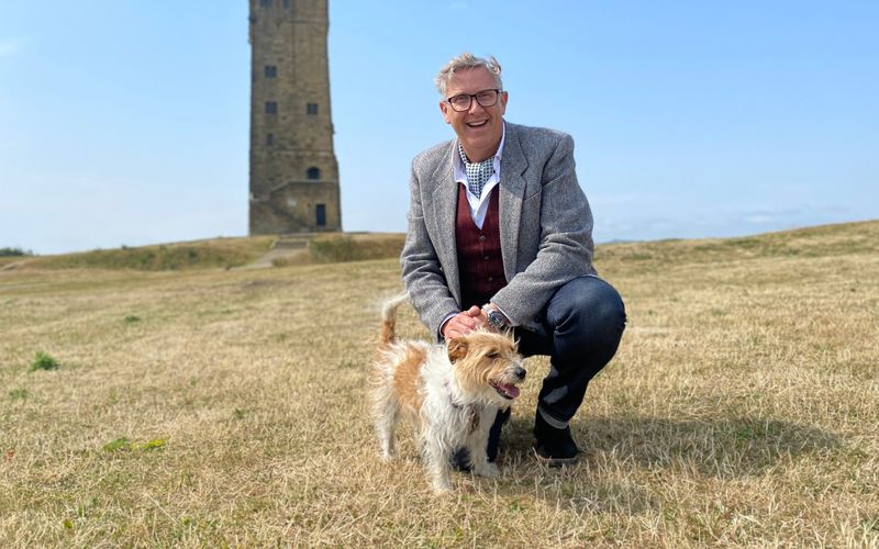 Hunde außer Kontrolle