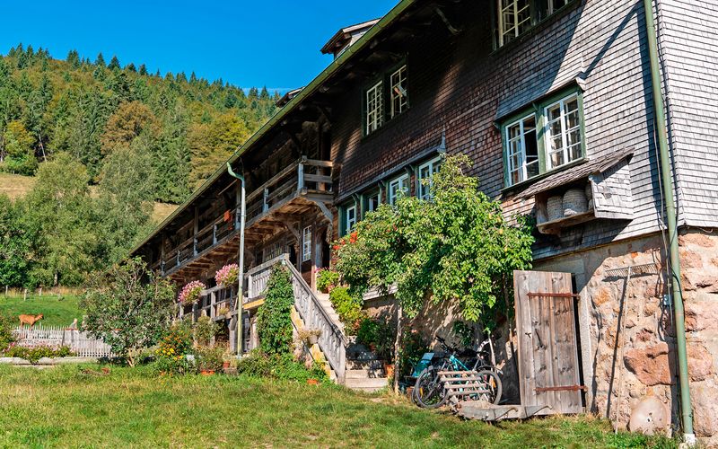 Hofgeschichten - Ackern zwischen Alpen und Ostsee