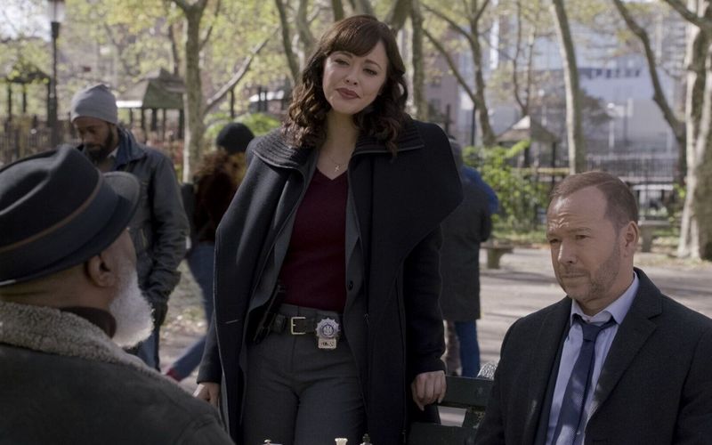 Blue Bloods - Crime Scene New York