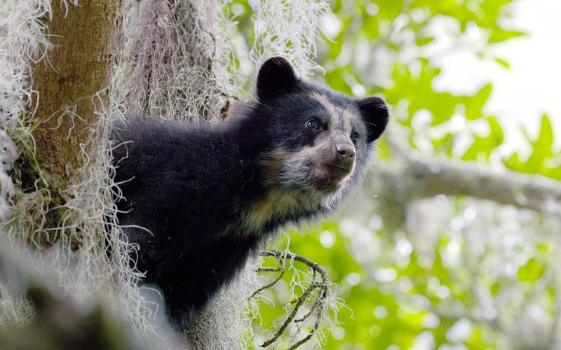 Ecuador, Hotspot der Artenvielfalt