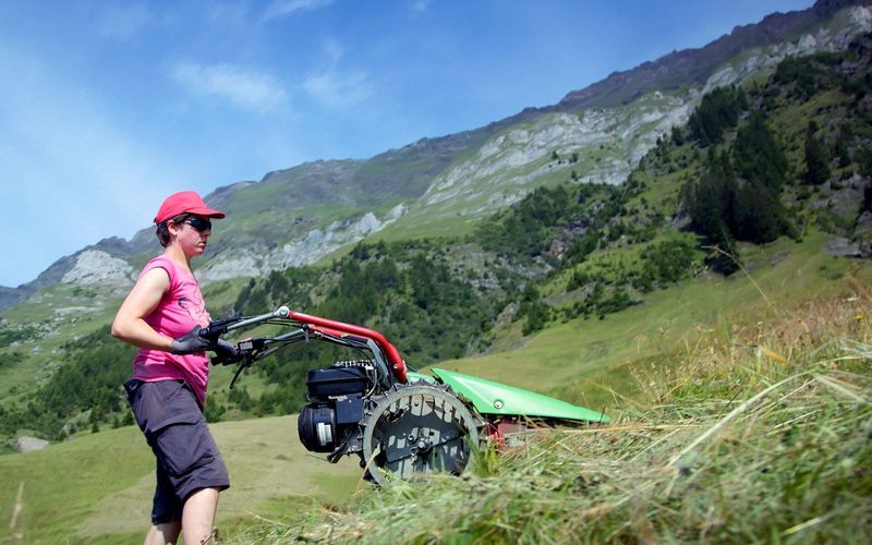 Bergbäuerinnen in Südtirol - Sommer