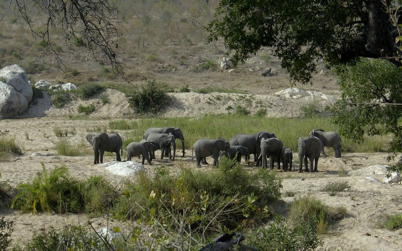 Wasserwelt Afrika