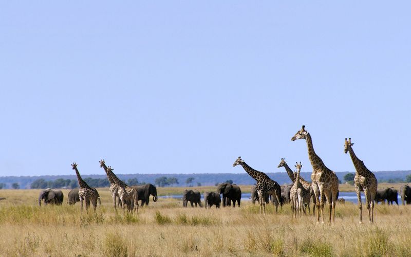 Wasserwelt Afrika