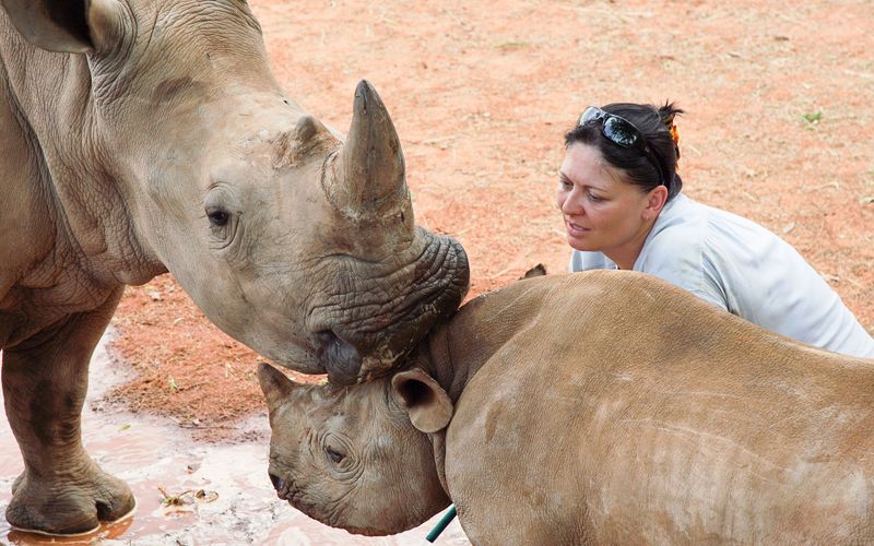 Die Superkräfte der Tiere