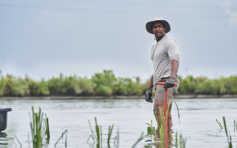 Der Strand der Haie mit Anthony Mackie: Golfküste