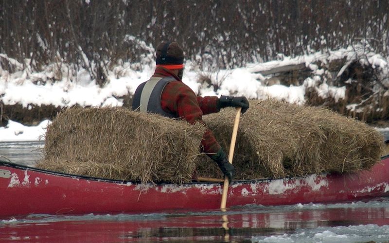 Kanada - Eine Familie im Selbstversorger-Modus