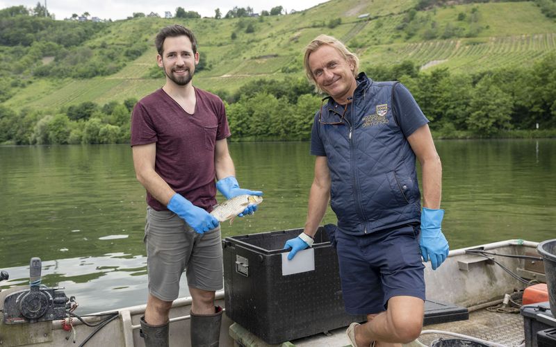 Lecker an Bord - Kulinarisches rund um Neumagen-Dhron