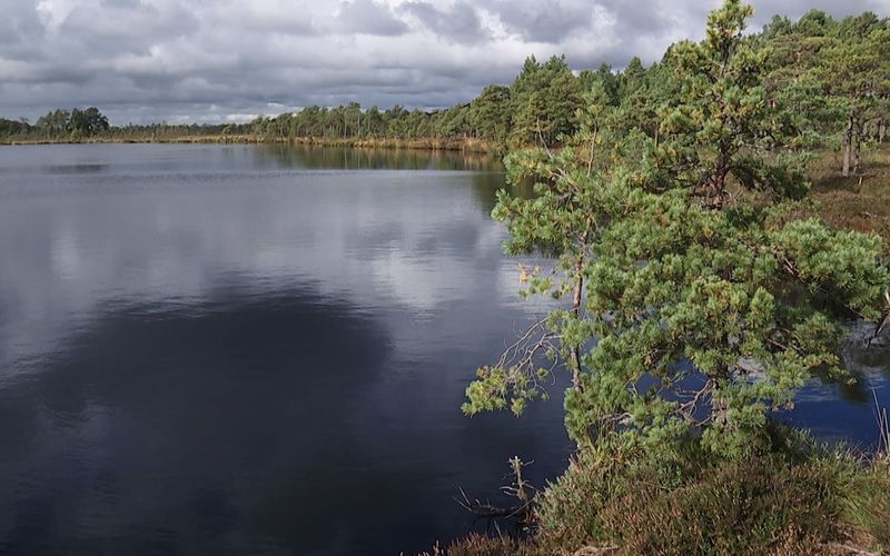 Nationalparks im Baltikum - Estland: Nationalpark Soomaa