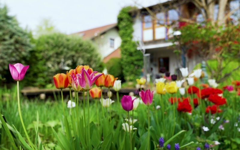 Sehnsucht nach Natur - Garteln als Trend und Geschäft