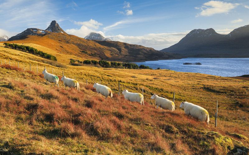 Europa, von wegen wild! - Die schottischen Highlands