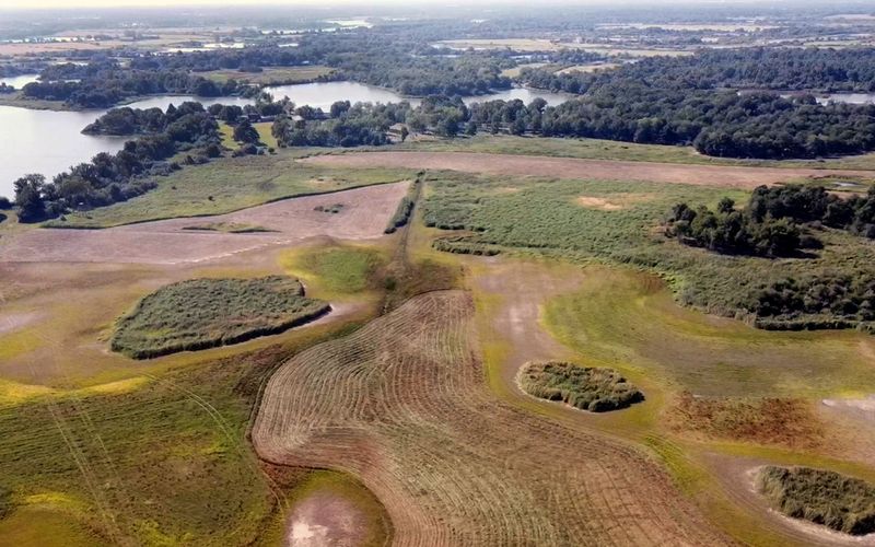 Europa, von wegen wild! - Die französische Brenne