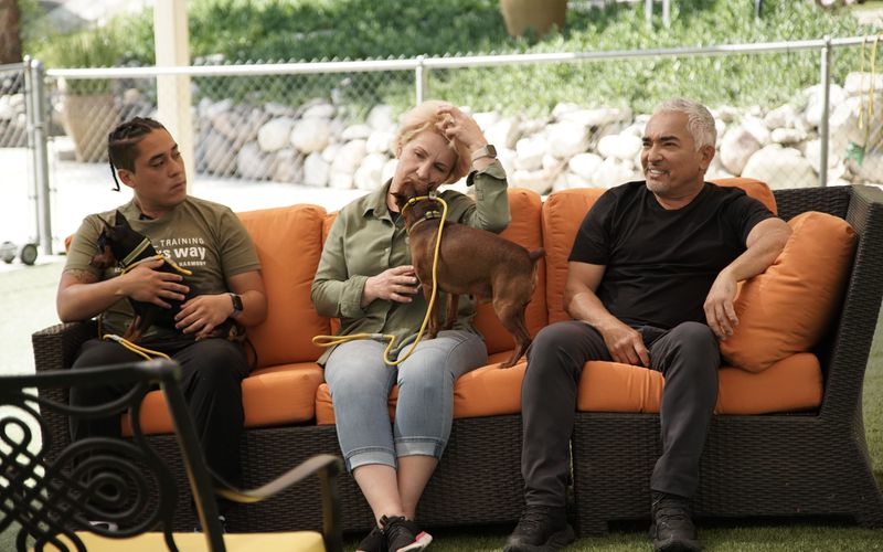 Cesar Millan: Guter Mensch, guter Hund