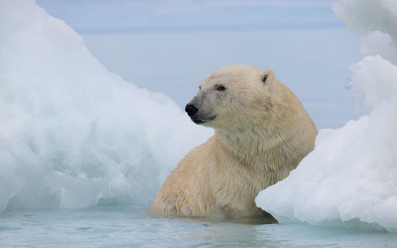 Islands: Die wilden Labore der Natur