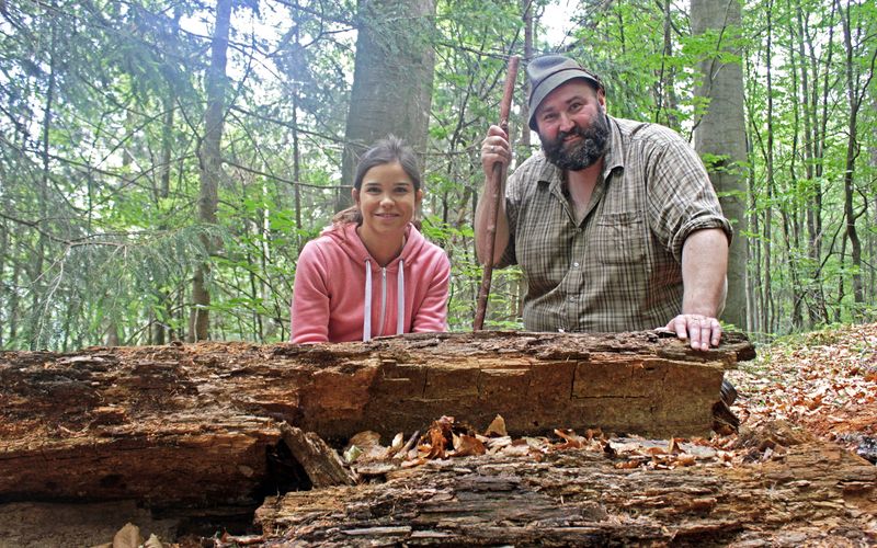 Anna und der wilde Wald