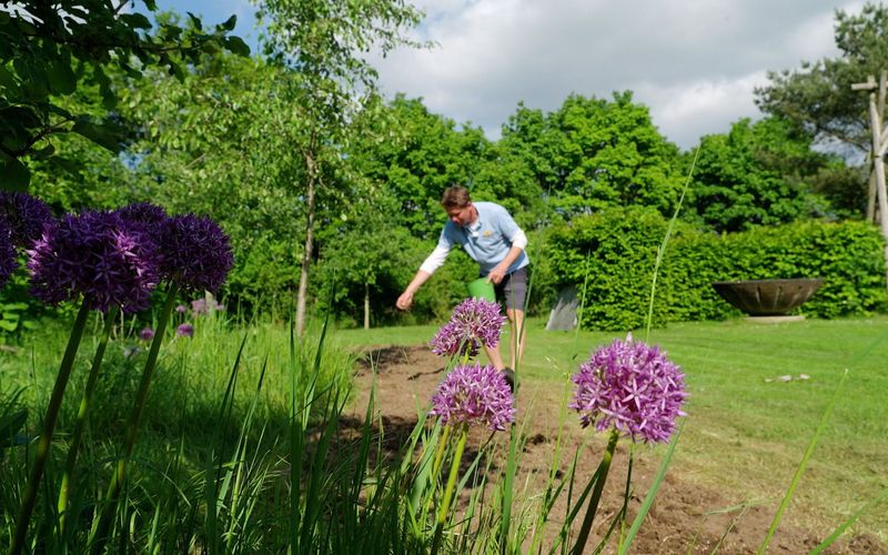 Rasch durch den Garten