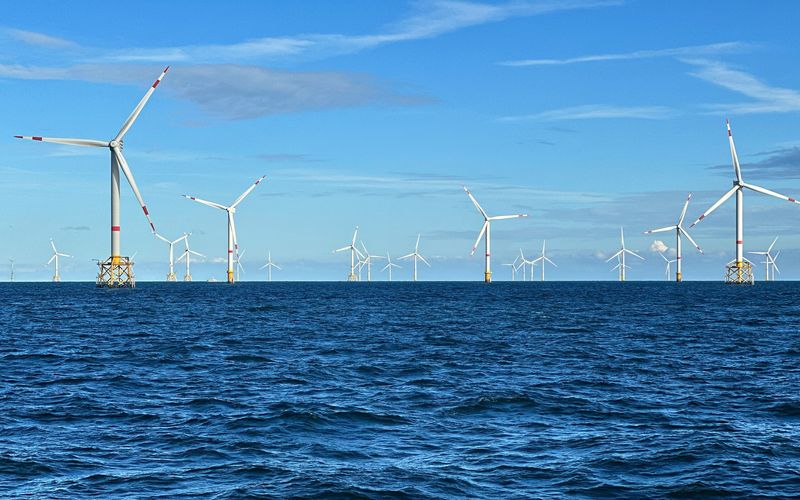 Windparks im Meer - Chance oder Risiko für die Natur?