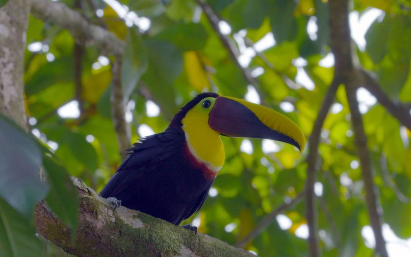 Costa Rica - Das pralle Leben