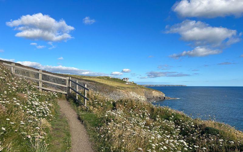 Das Paradies in der Ferne. Cornwall - Das Land der Rosamunde Pilcher