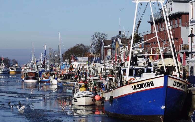 Überraschungen an der Kaikante - Rostocks Fischereihafen erfindet sich neu