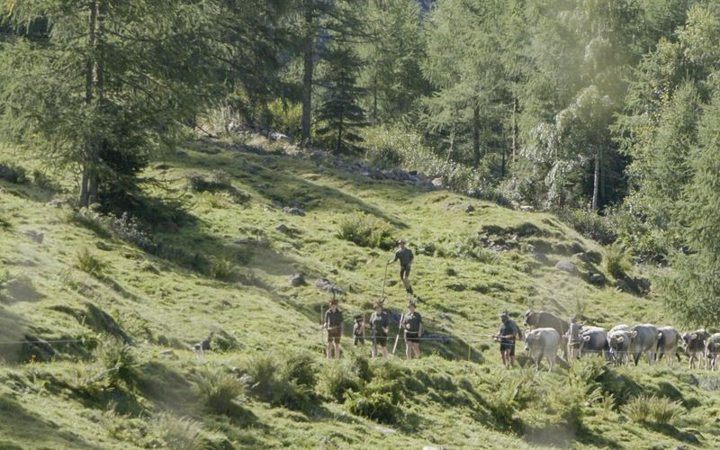 Land der Äcker - Die Bauern und die Politik