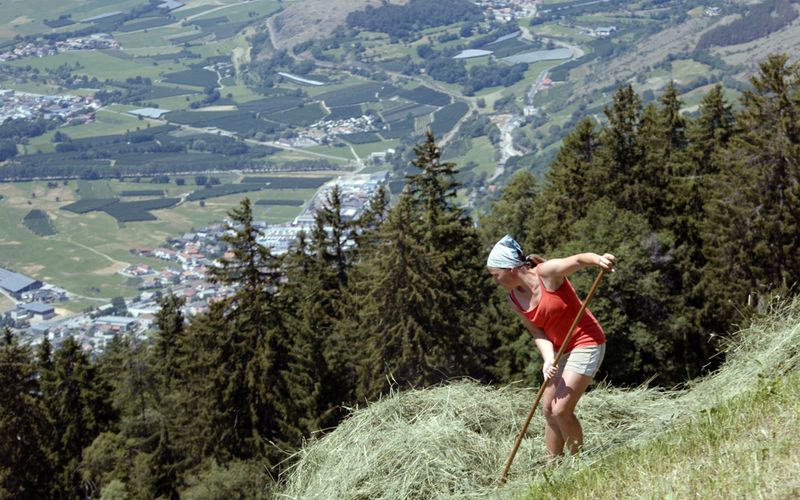 Bergbäuerinnen in Südtirol - Der Weg zum Ziel