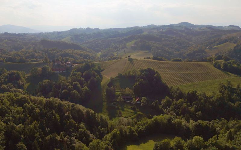 Wein und Stein - Vom steirischen Urmeer zum Weinberg