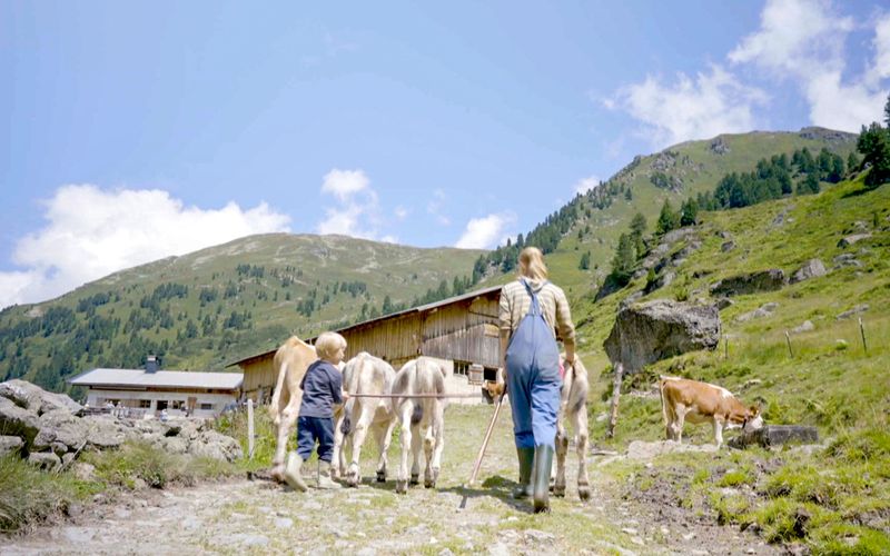 Rund um das Alpbachtal