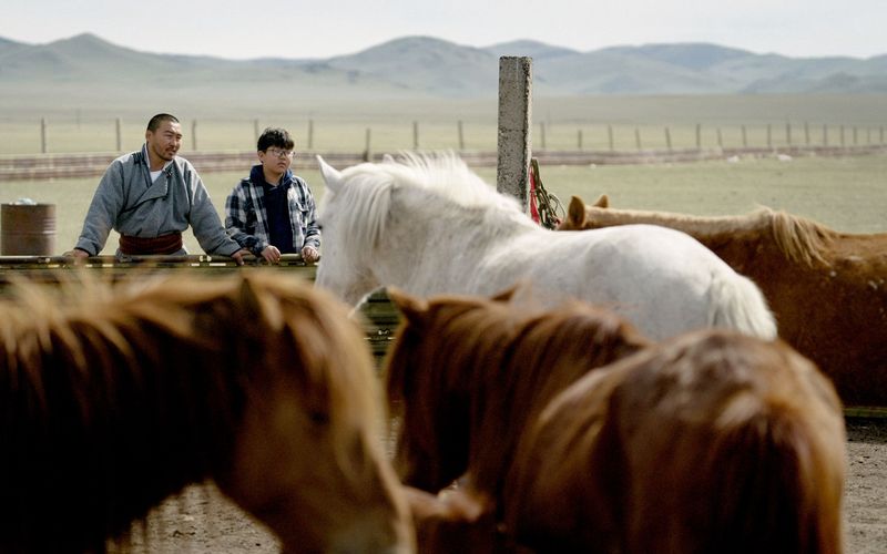 Mongolei: Der Pferderetter