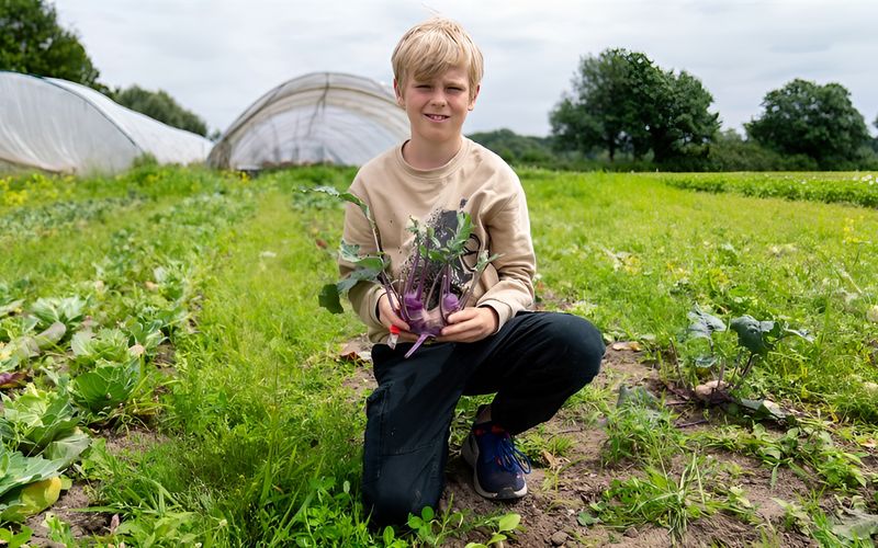 stark! - Kinder erzählen ihre Geschichte - Justus - Was wächst auf dem Bauernhof?