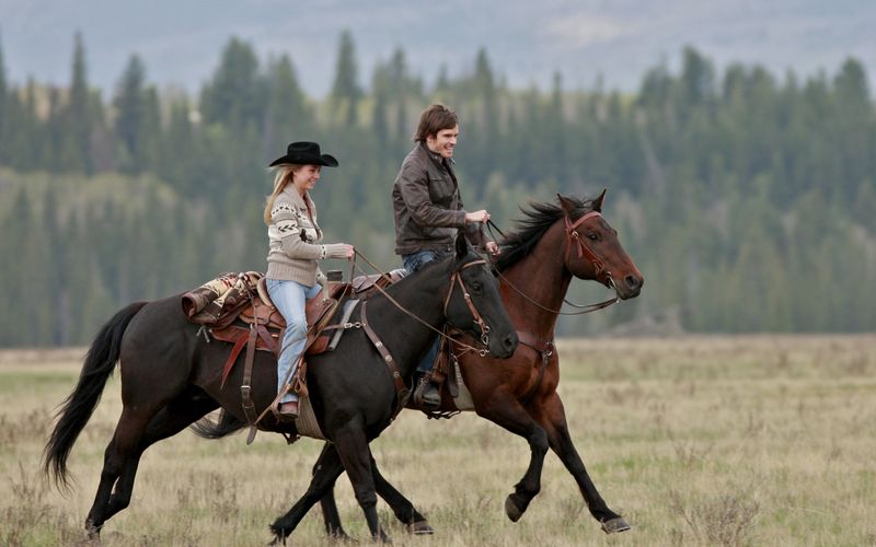 Heartland - Paradies für Pferde