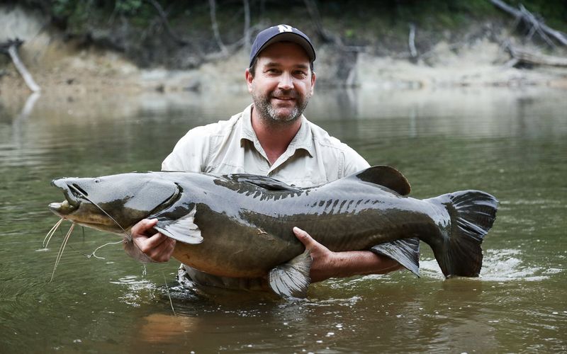 Unglaubliche Monsterfische