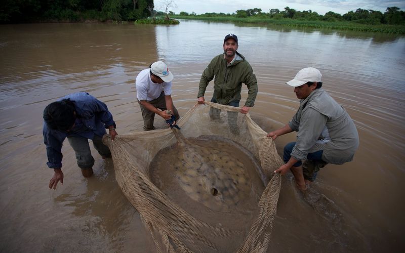 Auf der Suche nach dem Monsterfisch