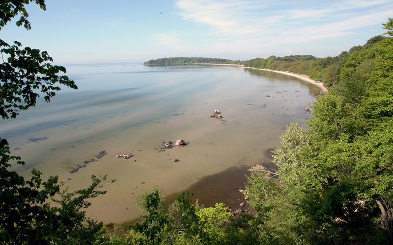 Wilde Ostsee