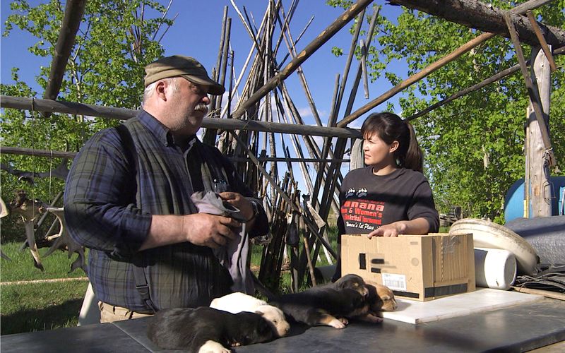 Yukon Men - Überleben in Alaska