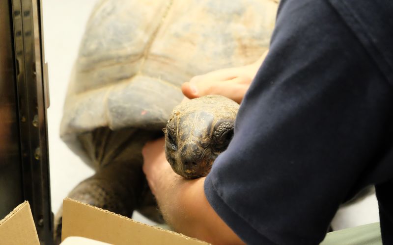 Bronx Zoo - Tierpark der Superlative