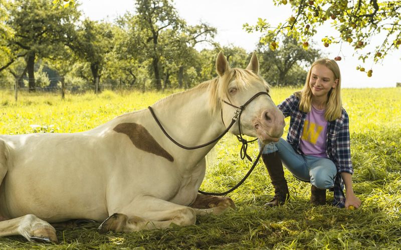 Wendy 2 - Freundschaft in Gefahr