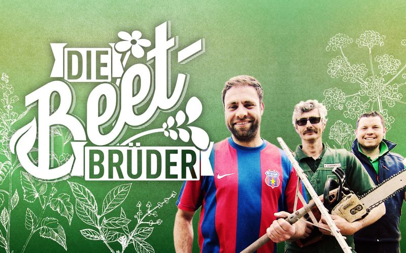 Die Beet-Brüder