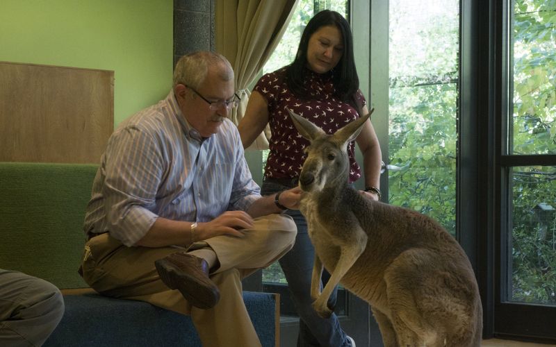 Bronx Zoo - Tierpark der Superlative