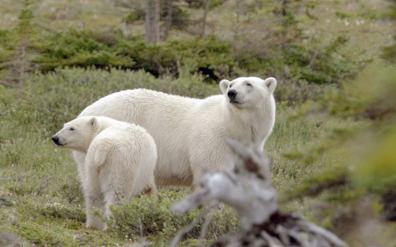 Kanadas Nationalparks