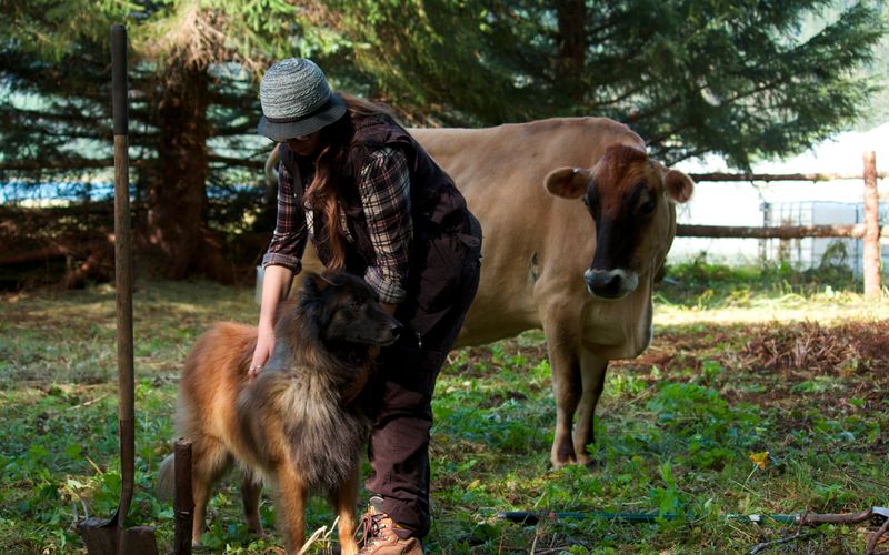 Alaskan Bush People