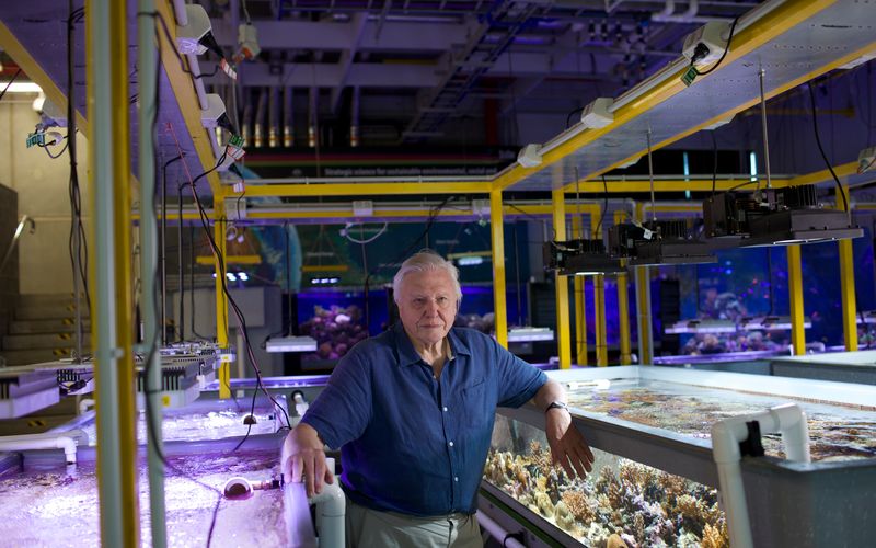 David Attenboroughs Great Barrier Reef