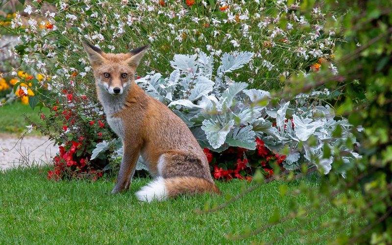 Frankreich - Wild und schön