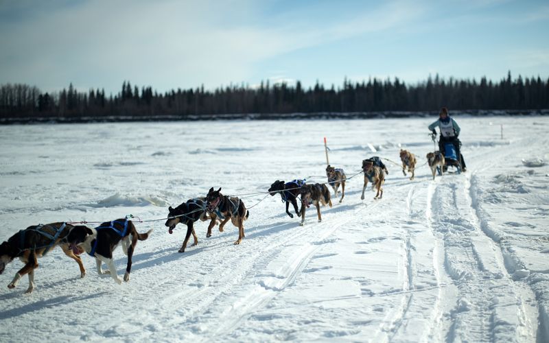 Yukon Men - Überleben in Alaska